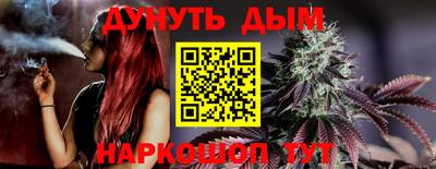 гидра Волгодонск