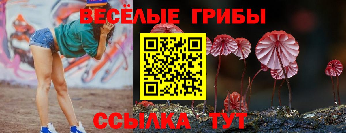 Югорск  Галлюциногенные грибы мицелий  как найти наркотики  Псилоцибиновые грибы Magic Shrooms  Вход с VPN 